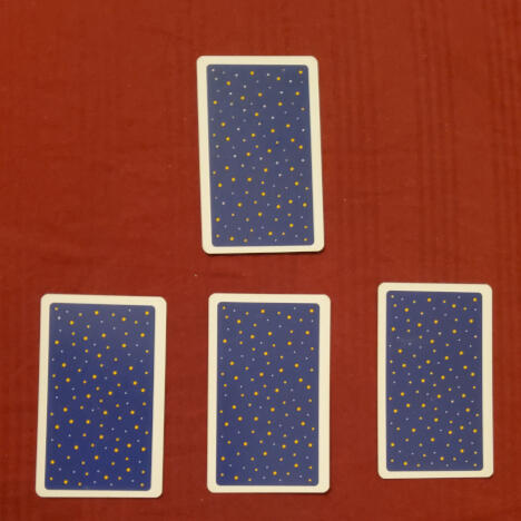 a color photograph of Mx. Cres Veritas- it's a portrait shot